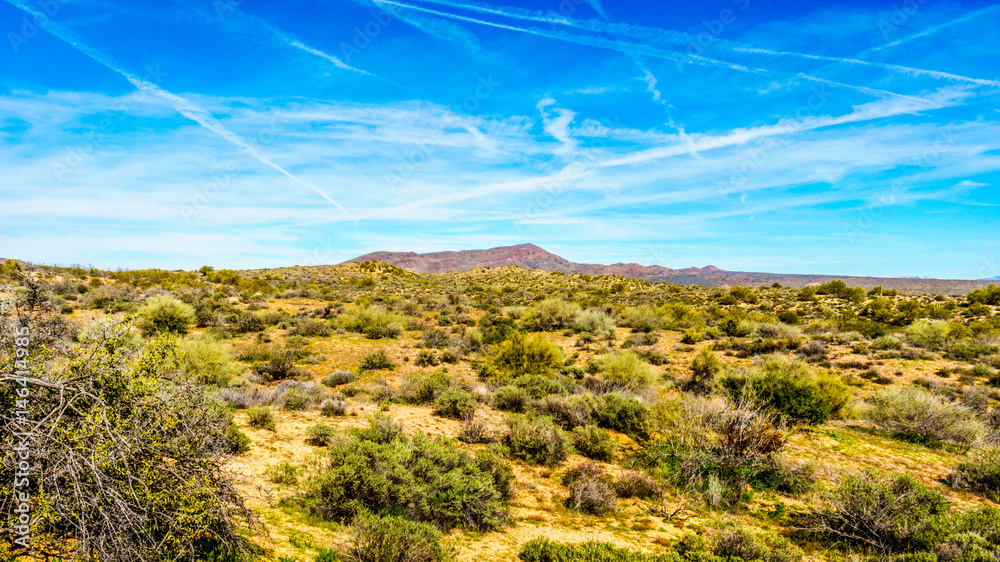Semi desert landscape and distant mountains under blue sky in Tonto National Forest  in the Arizona Desert in the United States.