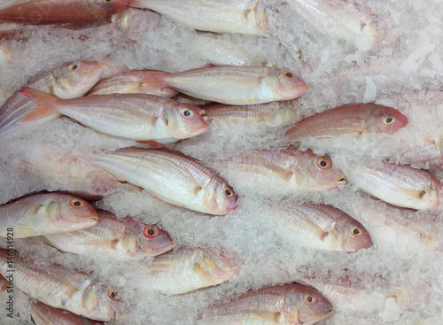Frozen fish in the market