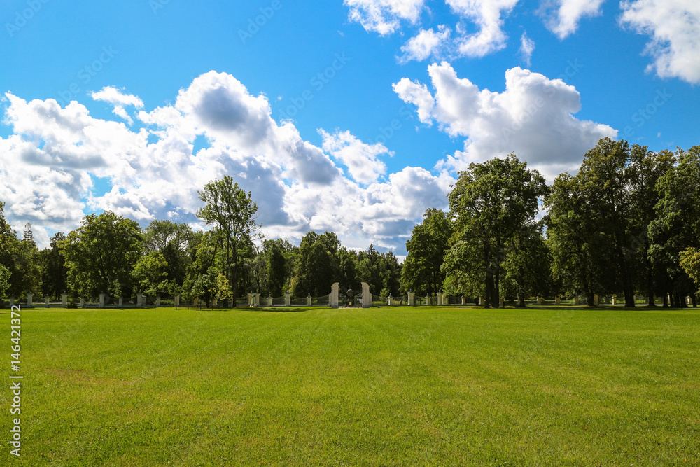 Clear blue sky and green meadow Clear blue sky and green meadow