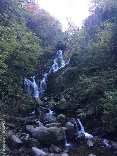 Torc Waterfall, Killarney National Park, Ireland