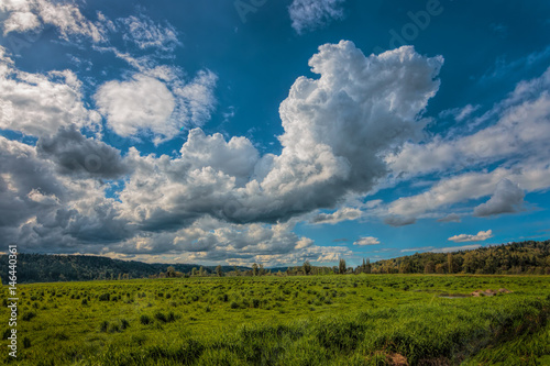 Large Cumulus Clouds in a bright blue sky over a lush green pasture. 