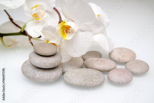 white orchids and pearls lie on the rocks 