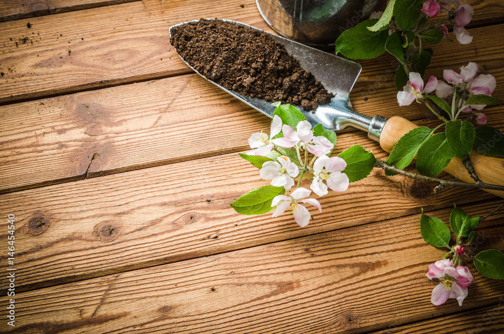 Branch of blossoming apple and garden tools on a wooden surface, close-up. Branch of blossoming apple and garden tools on a wooden surface, close-up.