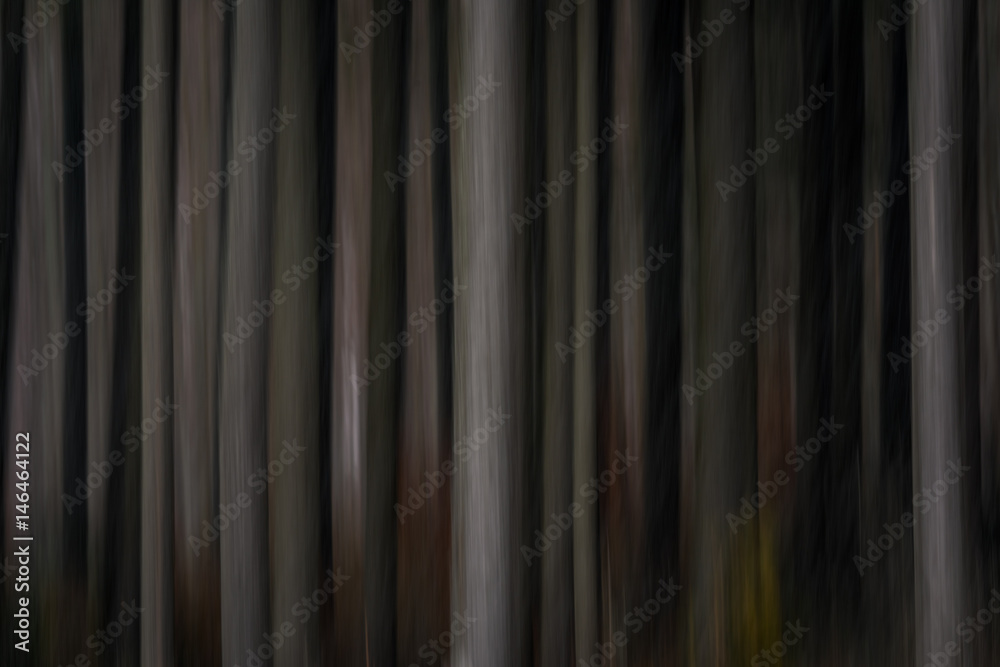 Fototapeta premium Shapes of trees