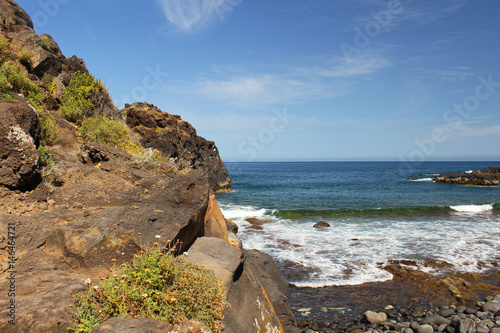 Costa de Canarias photo