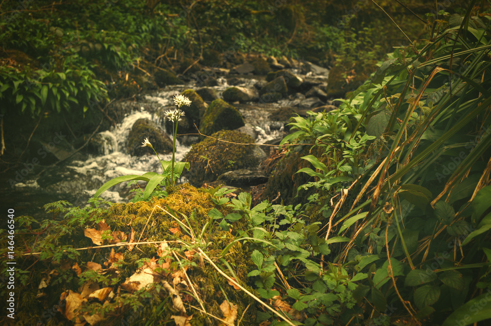 Lake district uk Lake district uk