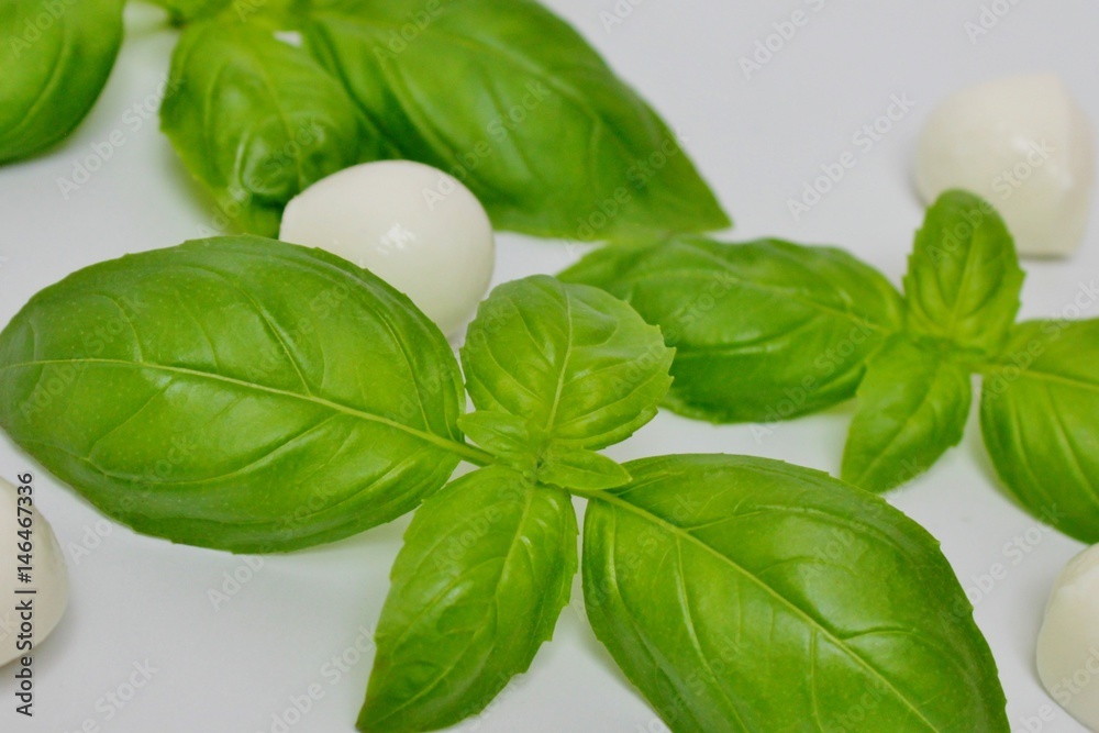 Mozzarella cheese and basil leaf Mozzarella cheese and basil leaf
