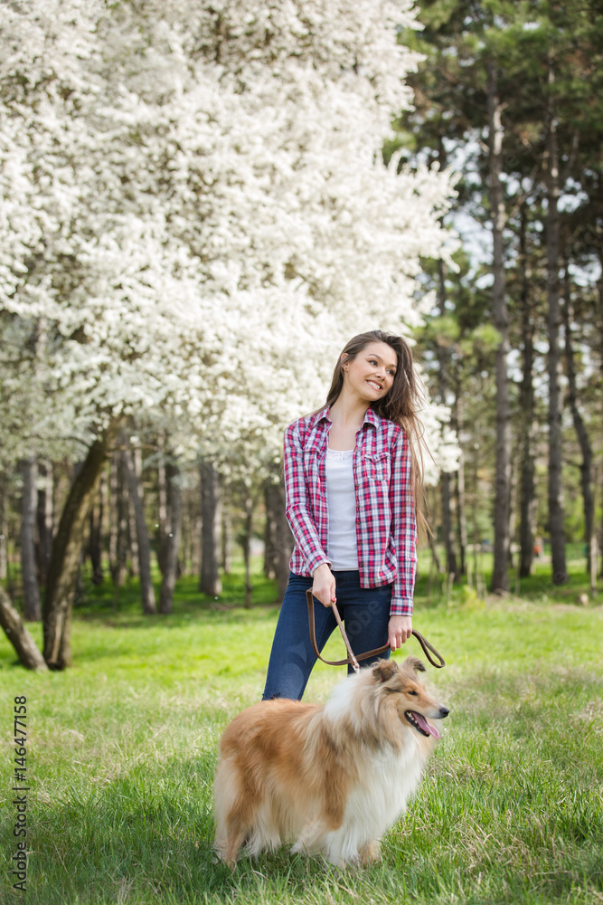 Fototapeta young beautiful woman with long hair walking with collie dog. Outdoors in the park.