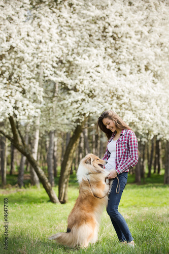 Young beautiful woman with long hair in an embrace with a collie dog. Outdoors in the park. © popovich22