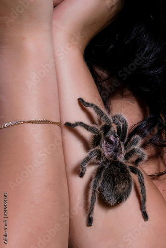 Dangerous tarantula walking around beautiful woman's body.