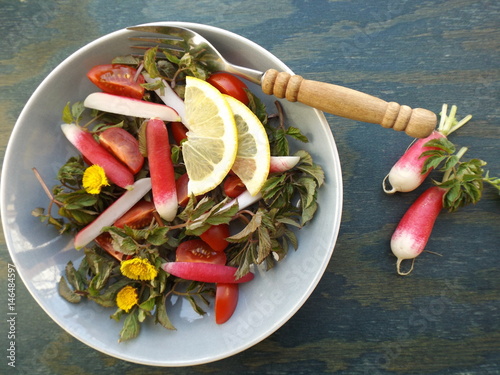  Vegetarian salad from wild edible herbs, tomatoes and radish. Aegopodium podagraria and coltsfoot. photo