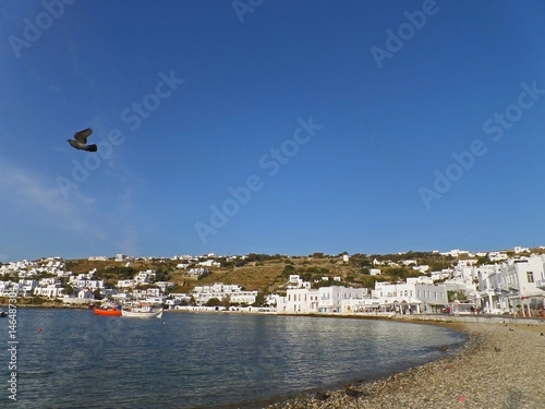 Mykonos Town Beachfront under Vivid Blue Sky with a Flying Pigeon, Mykonos island of Greece 
