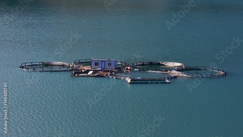 Balık Çiftliği