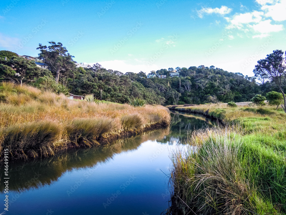 Idyllic nature of Northland, New Zealand - Stock Image Idyllic nature of Northland, New Zealand - Stock Image