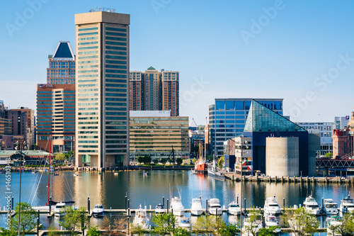 View of the Inner Harbor from Federal Hill Park in Baltimore, Maryland. photo