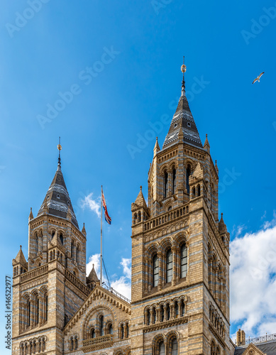 Natural history museum in London