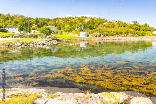 Bay on the Norwegian countryside, rural houses on the coast photo