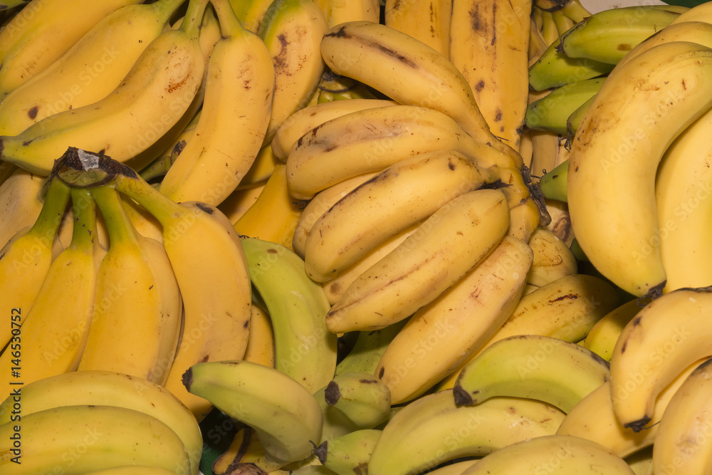 Bananas Bananas
