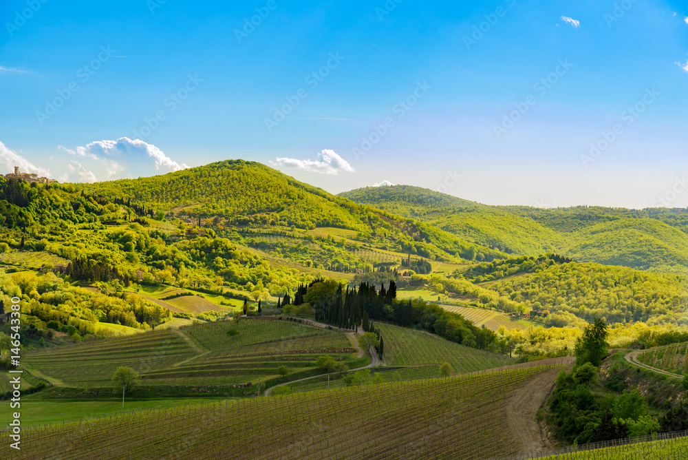 Fototapeta premium View of the countryside near the famous town of Radda in Chianti, Tuscany, Italy