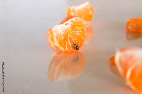 Bild auf Leinwand The fly catch orange petal.