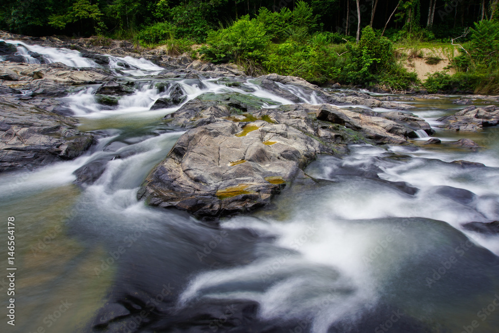 waterfall in rain forest