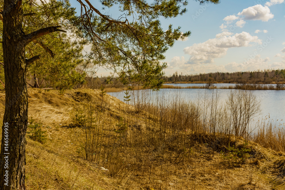 Fototapeta premium Sunny April day