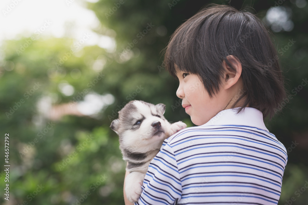Cute asiaan child holding siberian husky