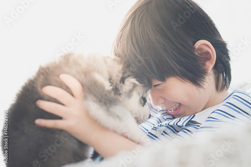 Tableau sur toile Cute asian child playing with siberian husky puppy