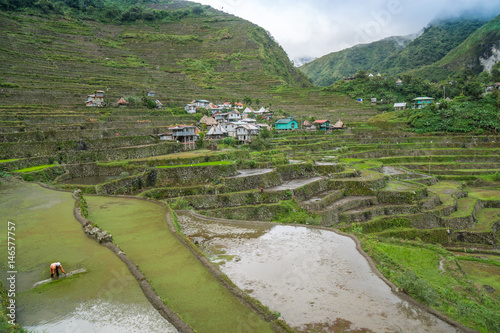 Banaue Rice Terraces