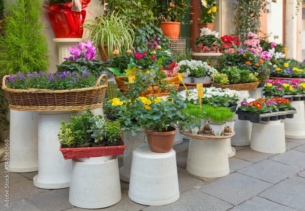 Naklejka premium Flowers outside of flower shop