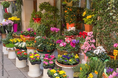 Flowers outside of flower shop