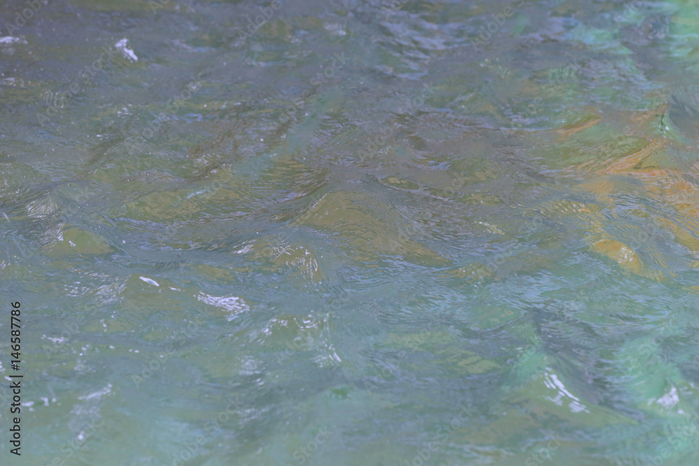 surface of the water.