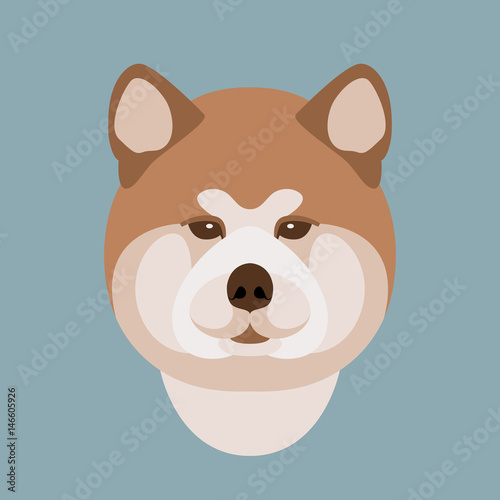 Malamute dog head   vector illustration style Flat