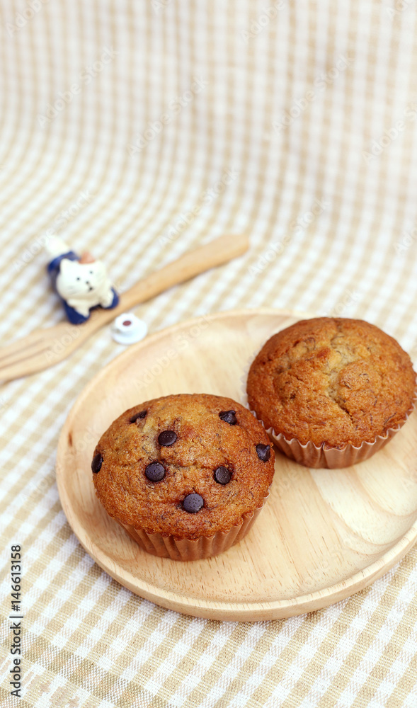 Cat model looking at Banana cupcake ready to serve Cat model looking at Banana cupcake ready to serve