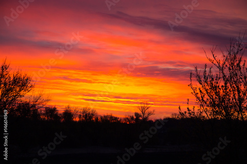 Bright sunrise over a trees