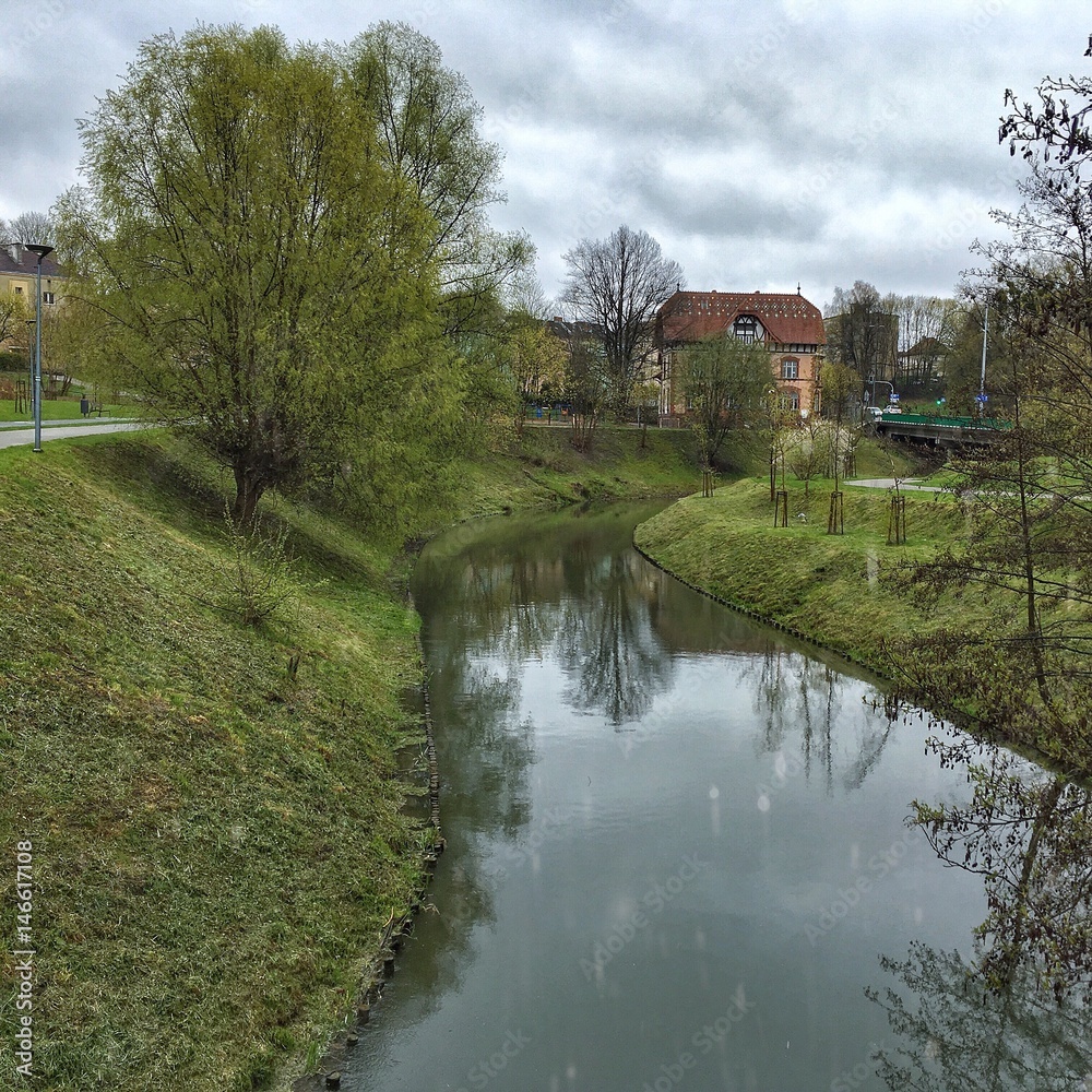 Fototapeta premium Wisenny deszcz w olsztyńskim parku