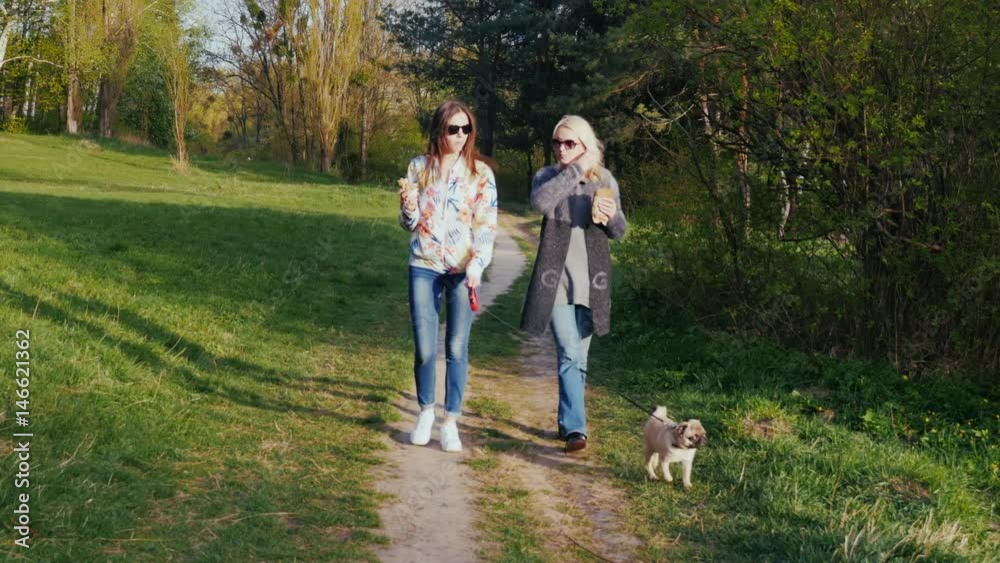 Two women are walking in the park with a pug dog. Communicate, have a good time Two women are walking in the park with a pug dog. Communicate, have a good time