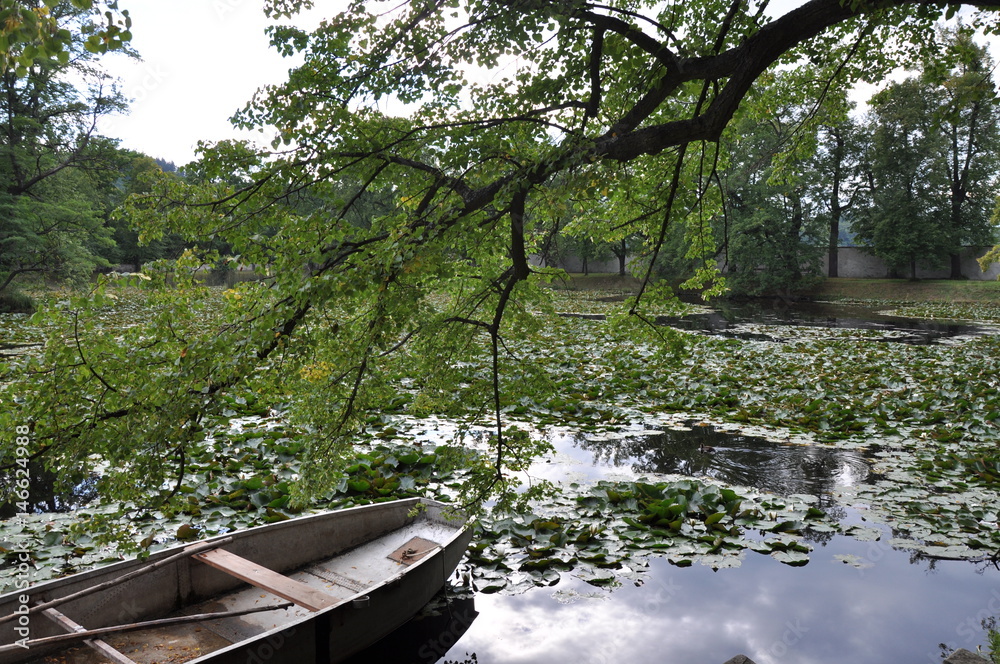 View of a boat on the pond, nature tree banches, water View of a boat on the pond, nature tree banches, water