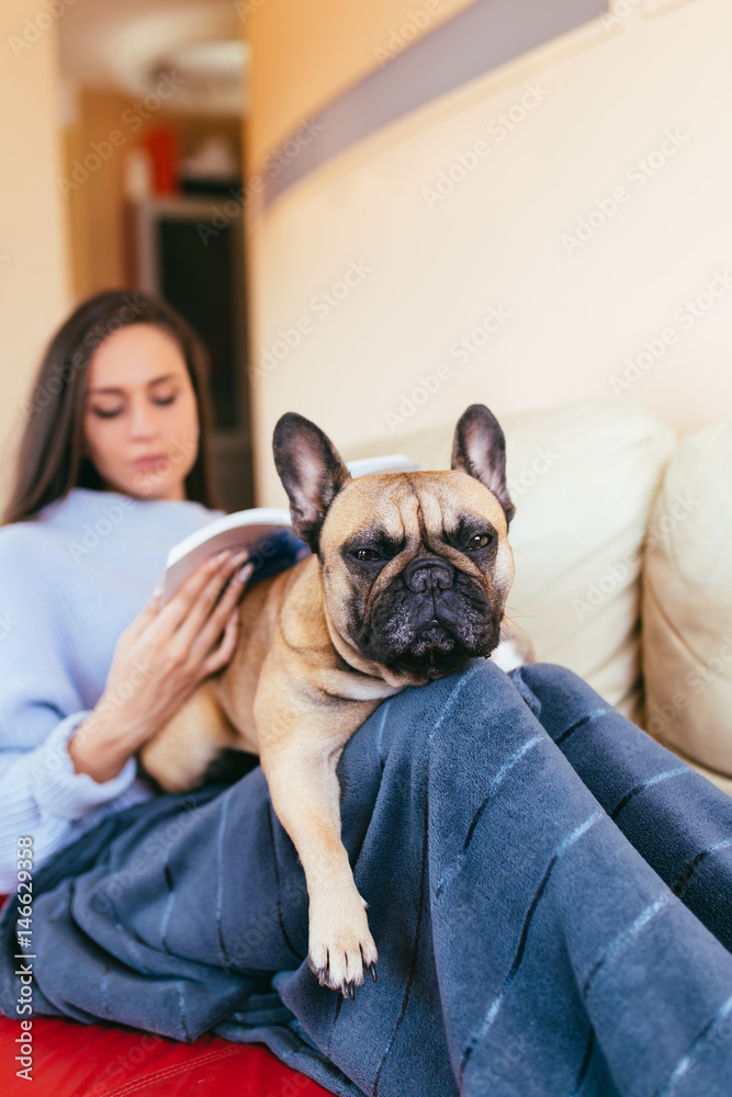 Attractive young woman lying on couch with her french bulldog pet and resting. Attractive young woman lying on couch with her french bulldog pet and resting.
