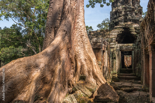 Banteay Kdei temple with silk cotton tree roots in Angkor, Siem Reap, Cambodia.