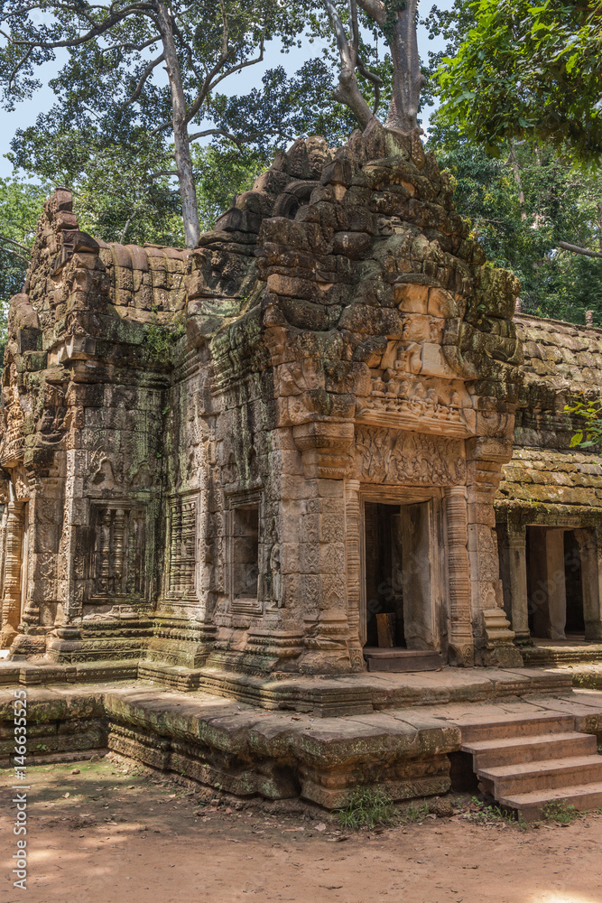 Ta Prohm temple in Angkor, Siem Reap, Cambodia.