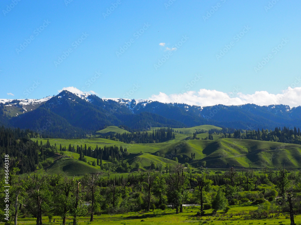 Nalati grassland,Xinjiang,China