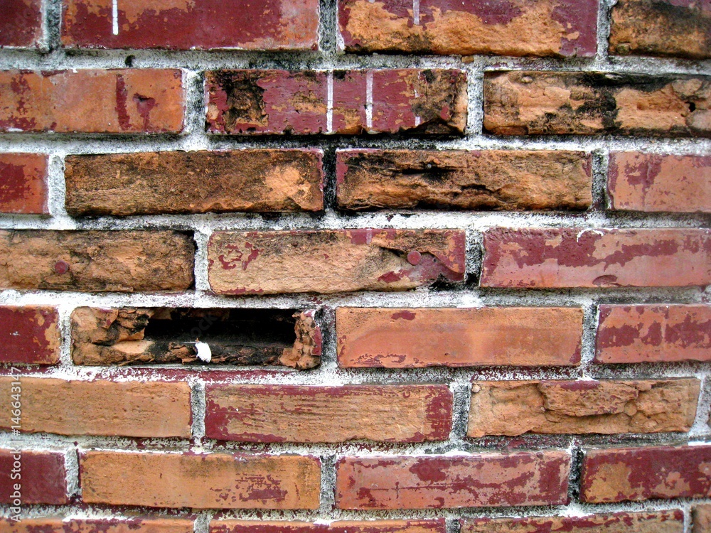 Fototapeta premium Old brick wall texture 
