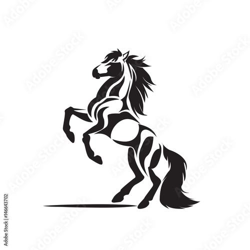 full stand horse