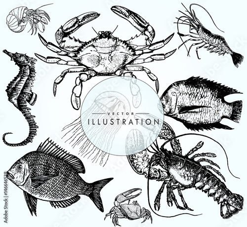 underwater world