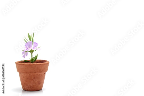 Flower Pot left
