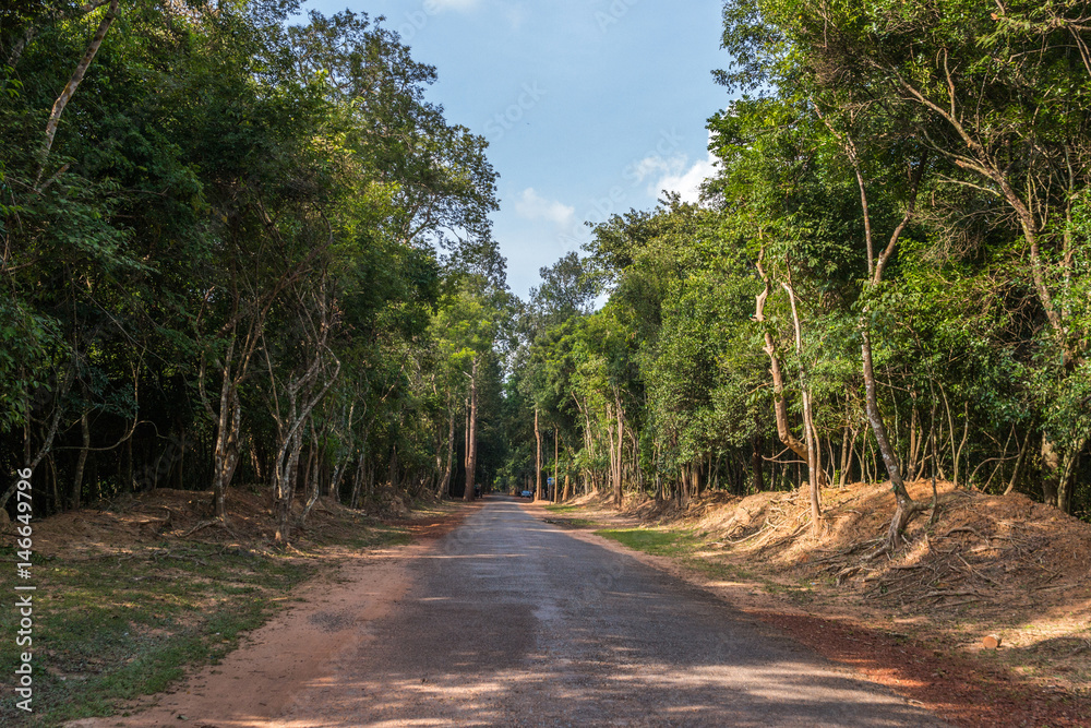 Road through the jungle, Cambodia