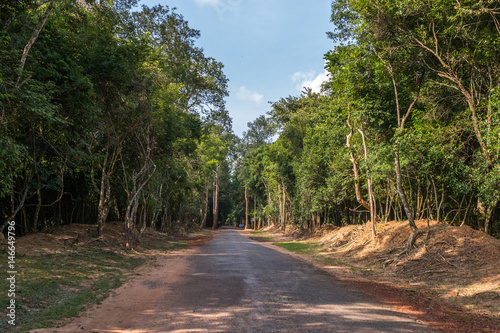 Road through the jungle  Cambodia