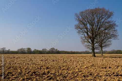 Wallpaper Mural Plowed Farmland in Spring Torontodigital.ca