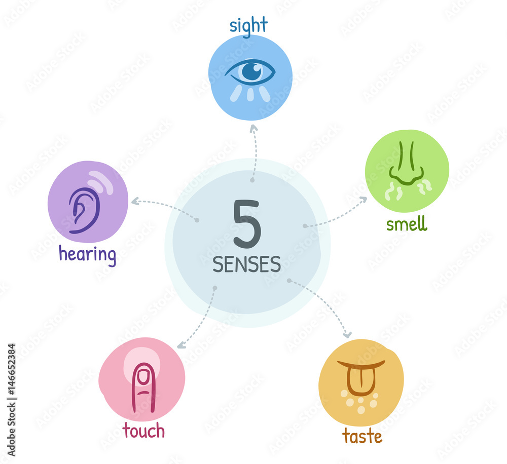 Five senses with simple hand drawn icons in a mind map design Five senses with simple hand drawn icons in a mind map design